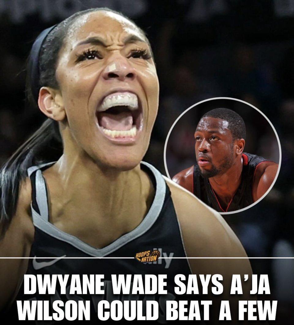 img, 阿贾, img img, 阿贾, img