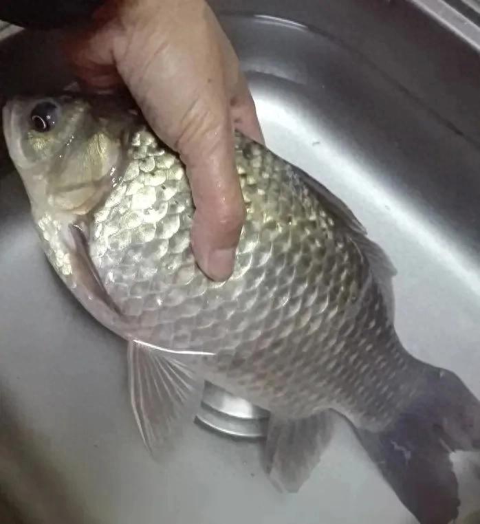 隔夜窝是很, 处在于 隔夜窝是很, 处在于